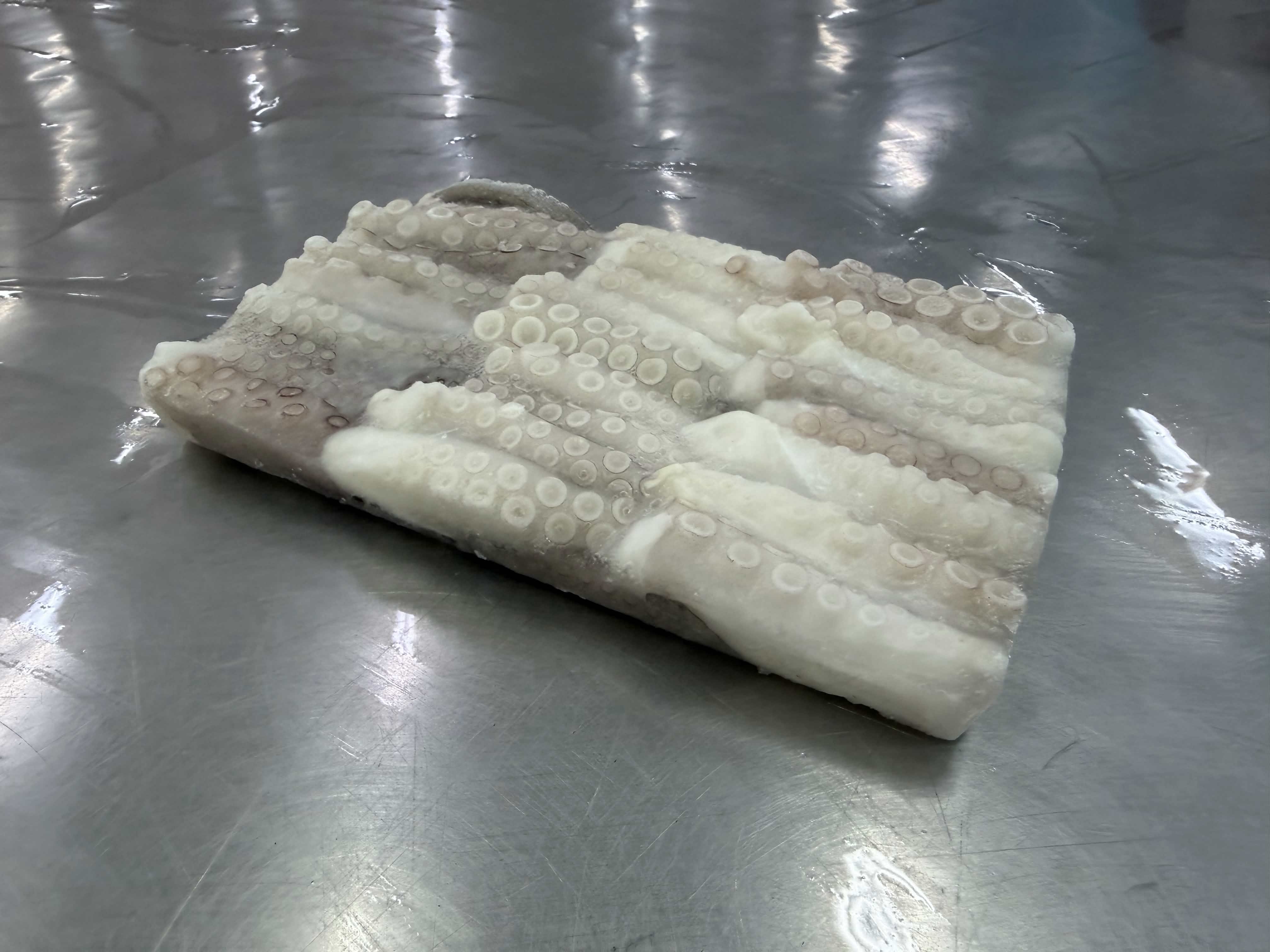 Cut Poulp Squid view 2